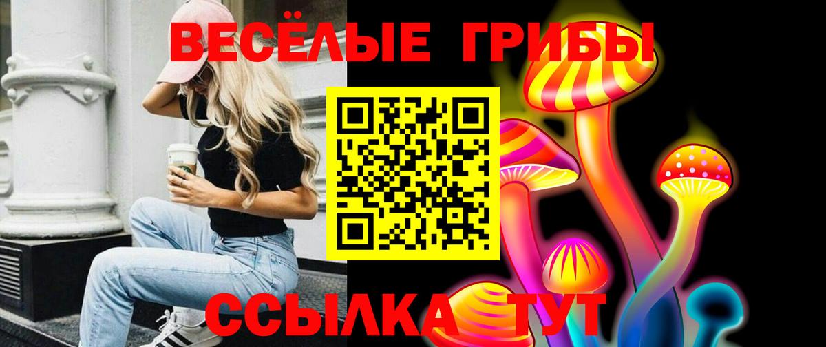 Керчь  Псилоцибиновые грибы GOLDEN TEACHER  Вход с VPN 