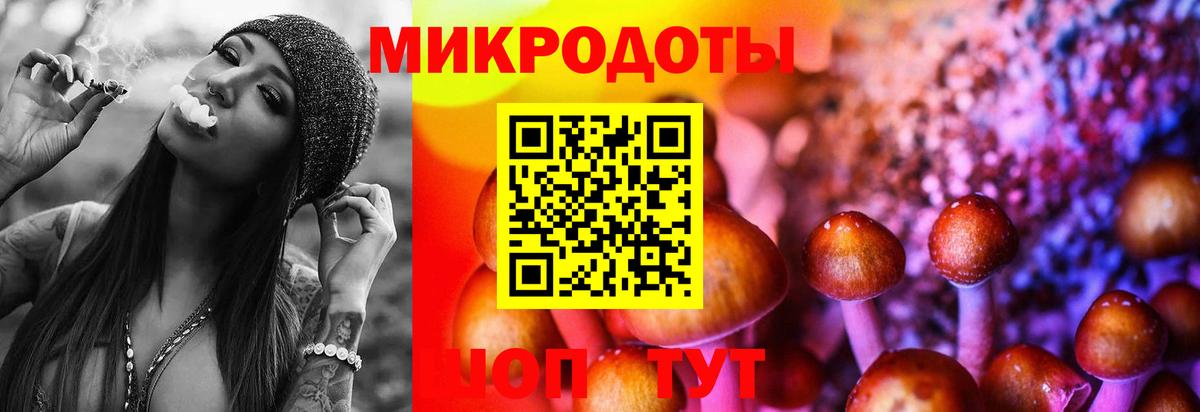 Псилоцибиновые грибы мухоморы Керчь